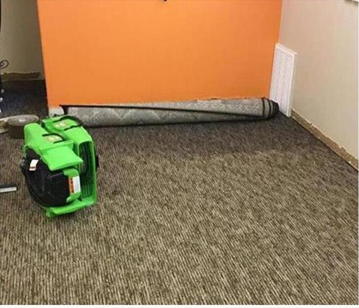 dried carpet, removed baseboards, green device drying