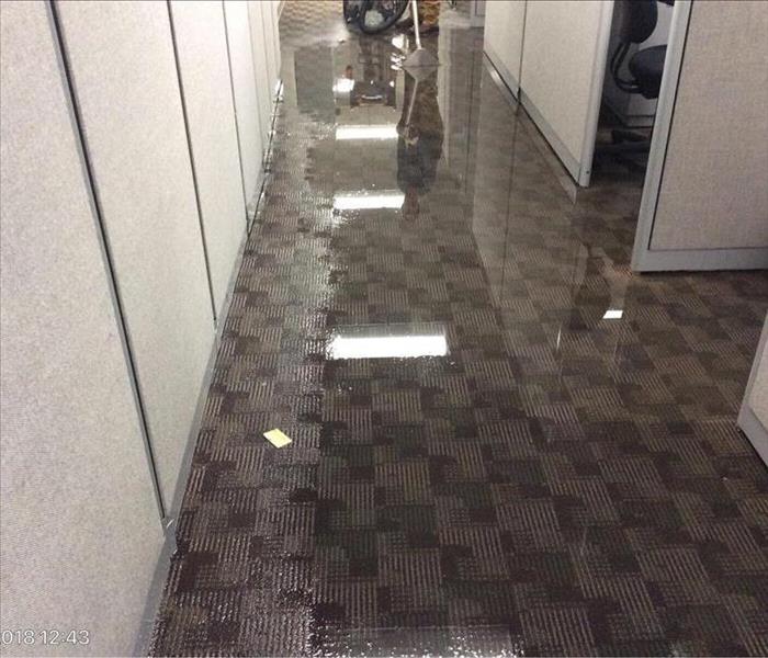 water flooding carpet between cubicles