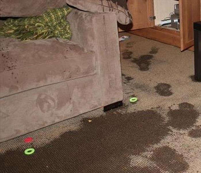 water soaked into carpet and sofa in the living room