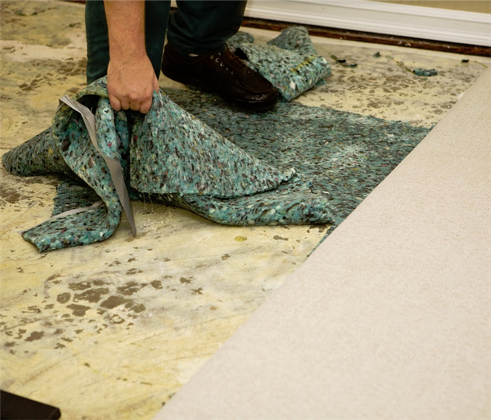 man ripping up a flood damaged carpet