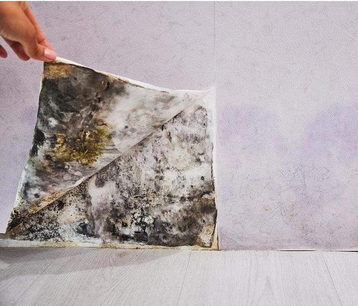 hand peeling back wallpaper to reveal mold